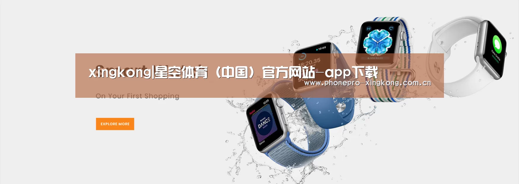 某某网络科技有限公司