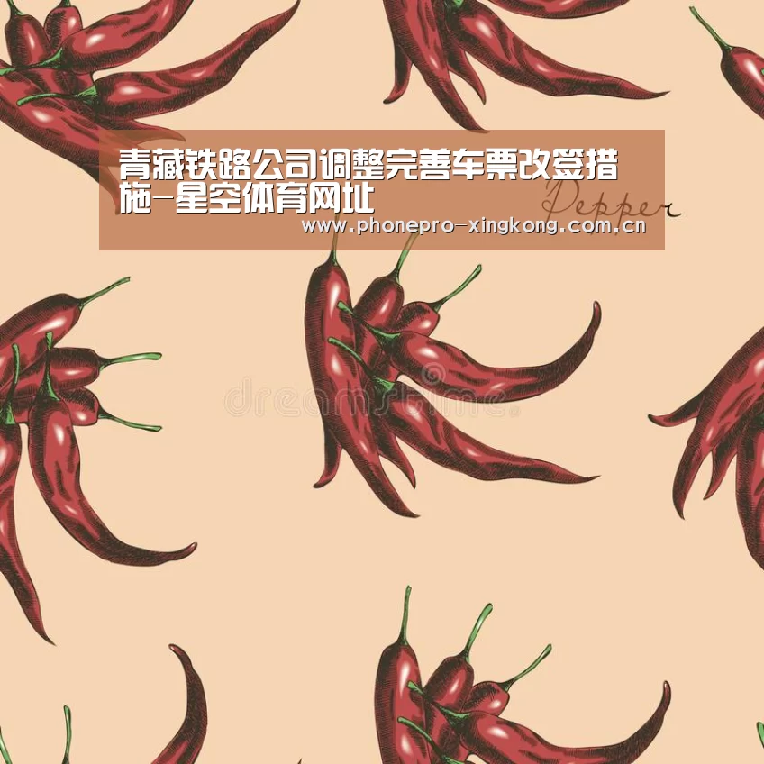 青藏铁路公司调整完善车票改签措施-星空体育网址(图4) 星空体育入口