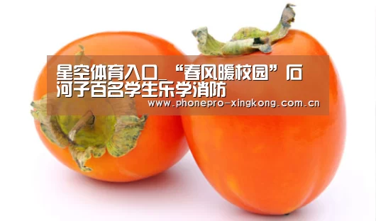 星空体育官网