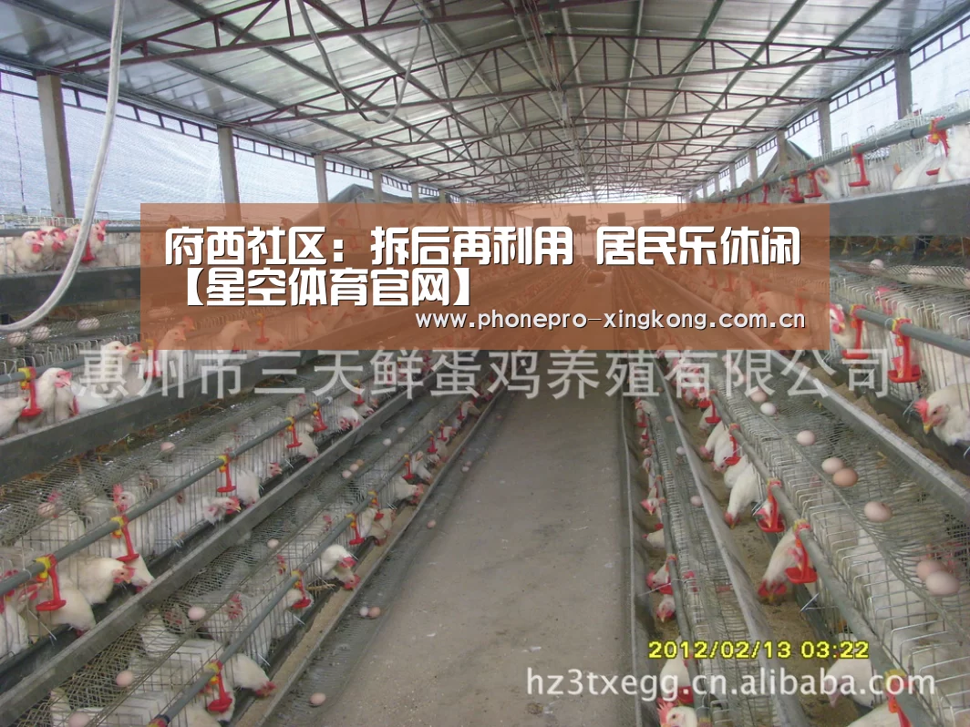府西社区:拆后再利用 居民乐休闲【星空体育官网】(图1) 星空体育网址