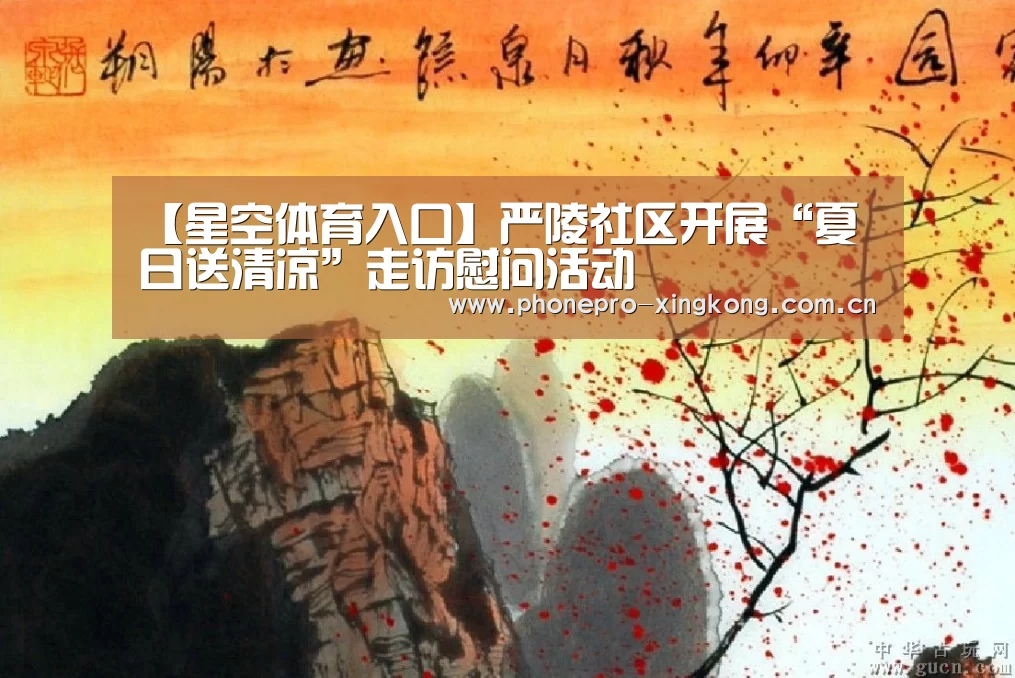 【星空体育入口】严陵社区开展“夏日送清凉”走访慰问活动(图4) 星空体育网址