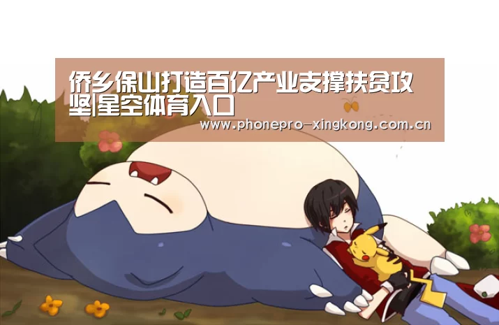 侨乡保山打造百亿产业支撑扶贫攻坚|星空体育入口(图3) 星空体育官网