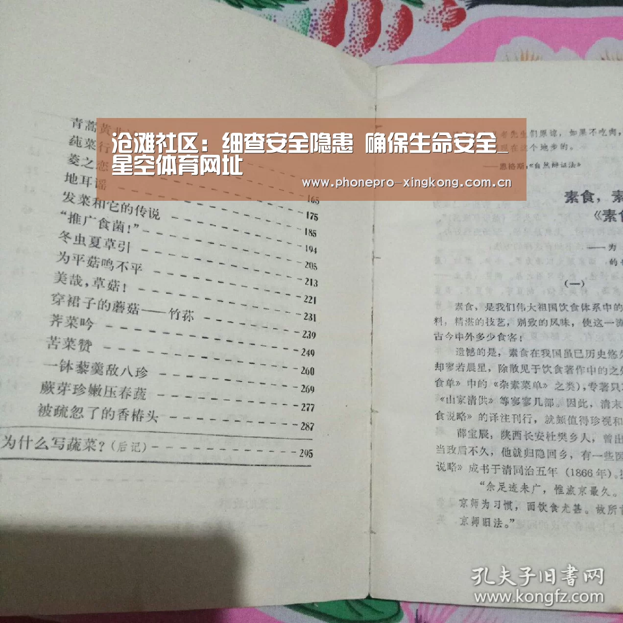星空体育官网