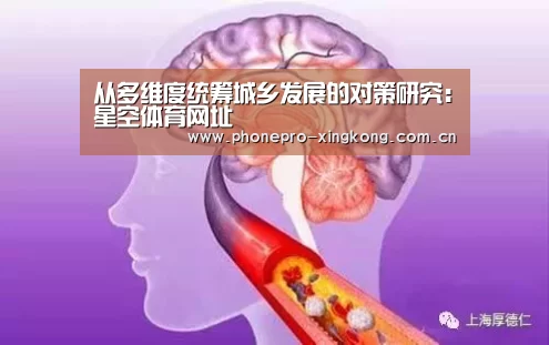 星空体育网址