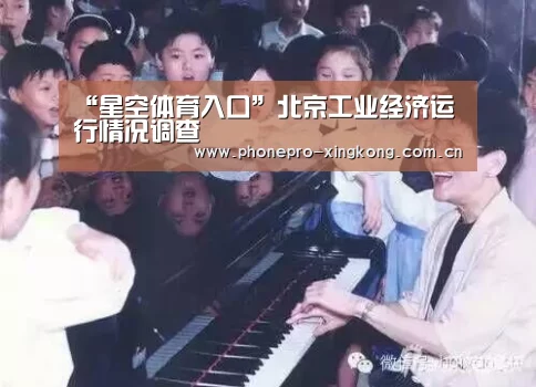 “星空体育入口”北京工业经济运行情况调查(图1) 星空体育网址